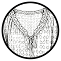 a63ce508f7236faa63b9ddedaf23ef4e7d9bb2c81c74c4abe1c3d09999280c33.png