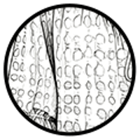 9e78089619772eb5ada446a56193c750ed8e40e3fa8717ba50816f574a096969.png